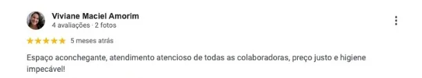 Avaliação 5 estrelas de Viviane Maciel Amorim no Google